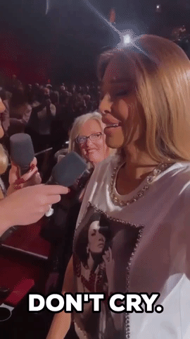Fan Startles Adele With Face Filter