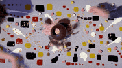 Fox Tv GIF by Masterchef