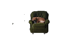 Dog Sticker Sticker