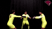 College Sports Sport GIF by CUCougars
