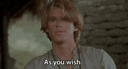 as you wish GIF