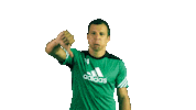 football thumbs down Sticker by 1. fotbalová liga