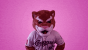 hotline bling dancing GIF by Kane County Cougars
