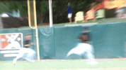 kccougars GIF by Kane County Cougars