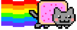 cat rainbow GIF
