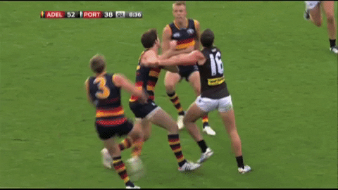 Afl Memories GIF by Adelaide Crows