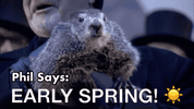 Groundhog Day Winter GIF