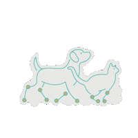 Cats Dogs Sticker