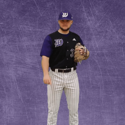 Baseball Wesleyan GIF by KWC Panthers