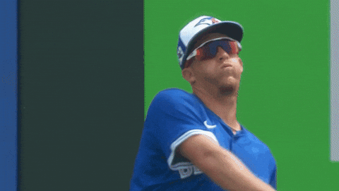 Blue Jays Baseball GIF by Toronto Blue Jays