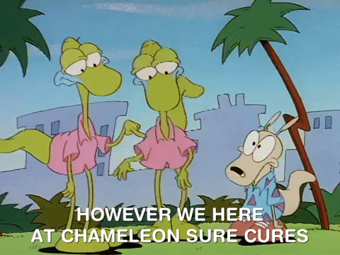 rockos modern life nicksplat GIF