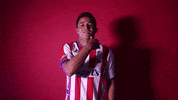 Sanluis Adsl GIF by Atlético de San Luis
