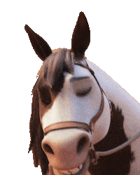 Horse Play Flirt Sticker by DreamWorks Spirit