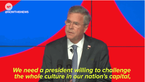 breaking jeb bush GIF by NowThis 