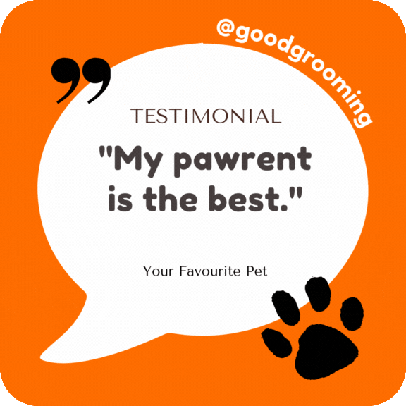 GoodGrooming testimonial pawrent goodgrooming GIF