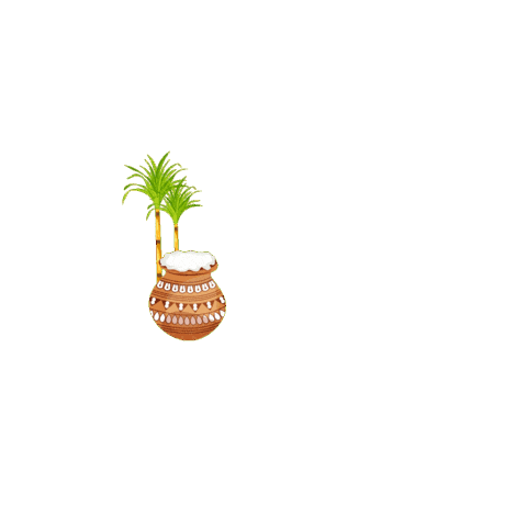 Celebrate Makar Sankranti Sticker by Hindustan Coca-Cola Beverages Pvt Ltd