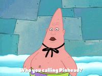 season 2 survival of the idiots GIF by SpongeBob SquarePants