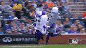 major league baseball sport GIF by MLB