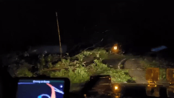 Severe Storms Down Trees in Arkansas