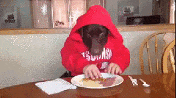 dog human eating GIF by Testing 1, 2, 3
