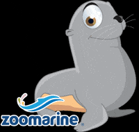 Sea Lion Portugal GIF by Zoomarine Algarve