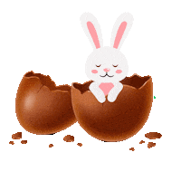 Rabbit Coelho Sticker