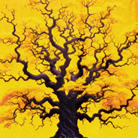 Blooming Its Time GIF