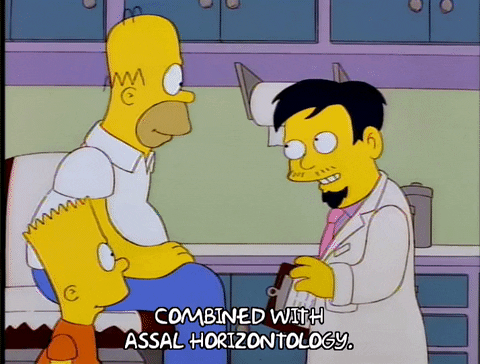 homer simpson GIF