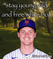 New York Mets Baseball GIF