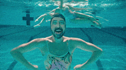 Pool Swimming GIF by Foo Fighters