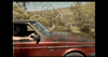 Road Trip GIF by nettwerkmusic