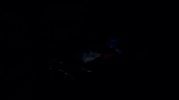 sitewwwhuffingtonpostes GIF