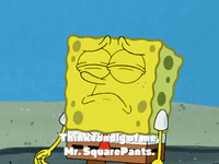 season 4 GIF by SpongeBob SquarePants