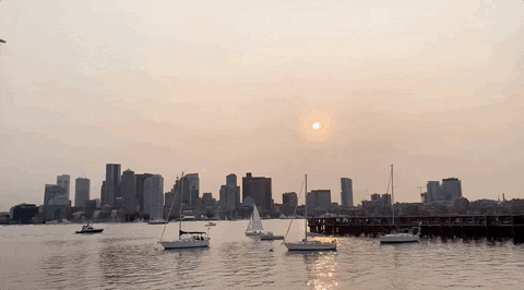 Boston GIF by GIPHY News