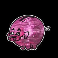 Island Nova GIF by HotChicken