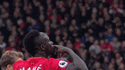 lfc watford GIF by Liverpool FC