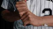 bat grips GIF by MLB