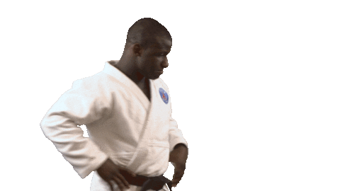 Martial Arts Fun Sticker by Paris Saint-Germain Judo