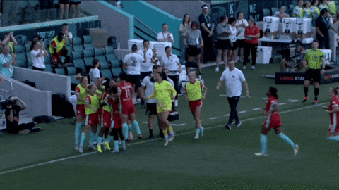 Goalcelebration GIF by National Women's Soccer League