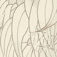 Art Zachar GIF by NACHTSCHIMMEN Music-Theatre-Language NIGHTSHADES