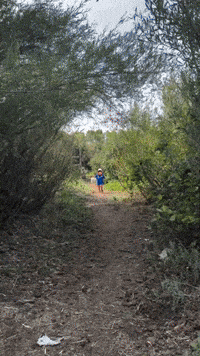 Arman is runnig away