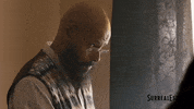 August GIF by Blue Ice Pictures
