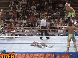 wwe sports wwe wrestling 1989 GIF