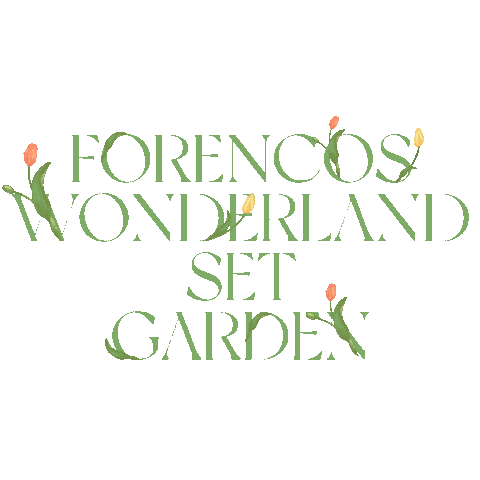 forencos giphyupload 원더랜드 포렌코즈 Sticker