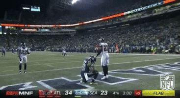 Seattle Seahawks Football GIF by NFL
