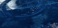 Star Trek Space GIF by Paramount+