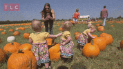 Jack O Lantern Halloween GIF by TLC Europe