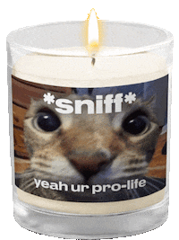 Pro-Life Candle Sticker by Let Them Live