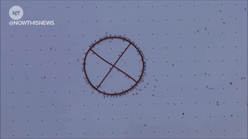 bugs cereal GIF by NowThis 