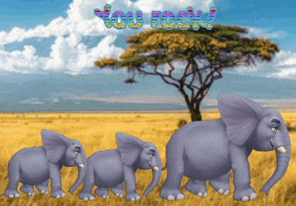 Expressions Elephants GIF